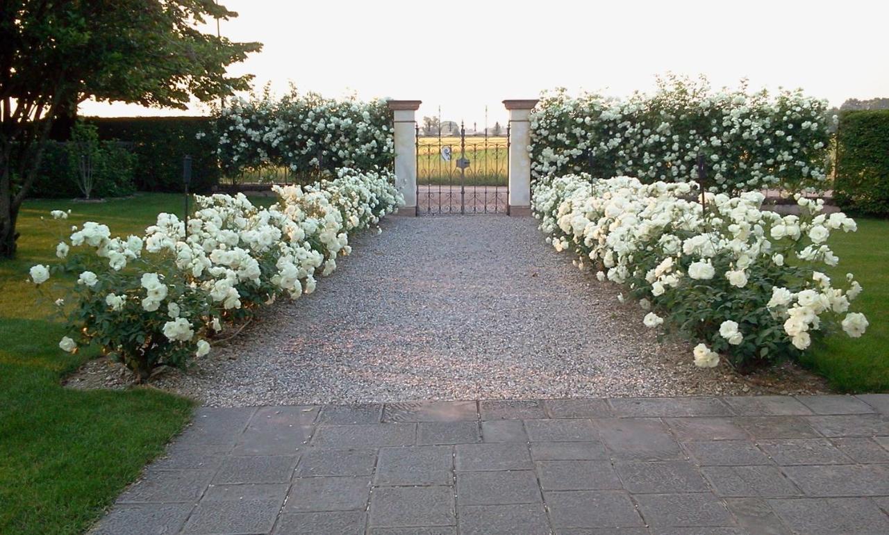 Borgo Dei Conti Della Torre Guest House Morsano al Tagliamento Bagian luar foto